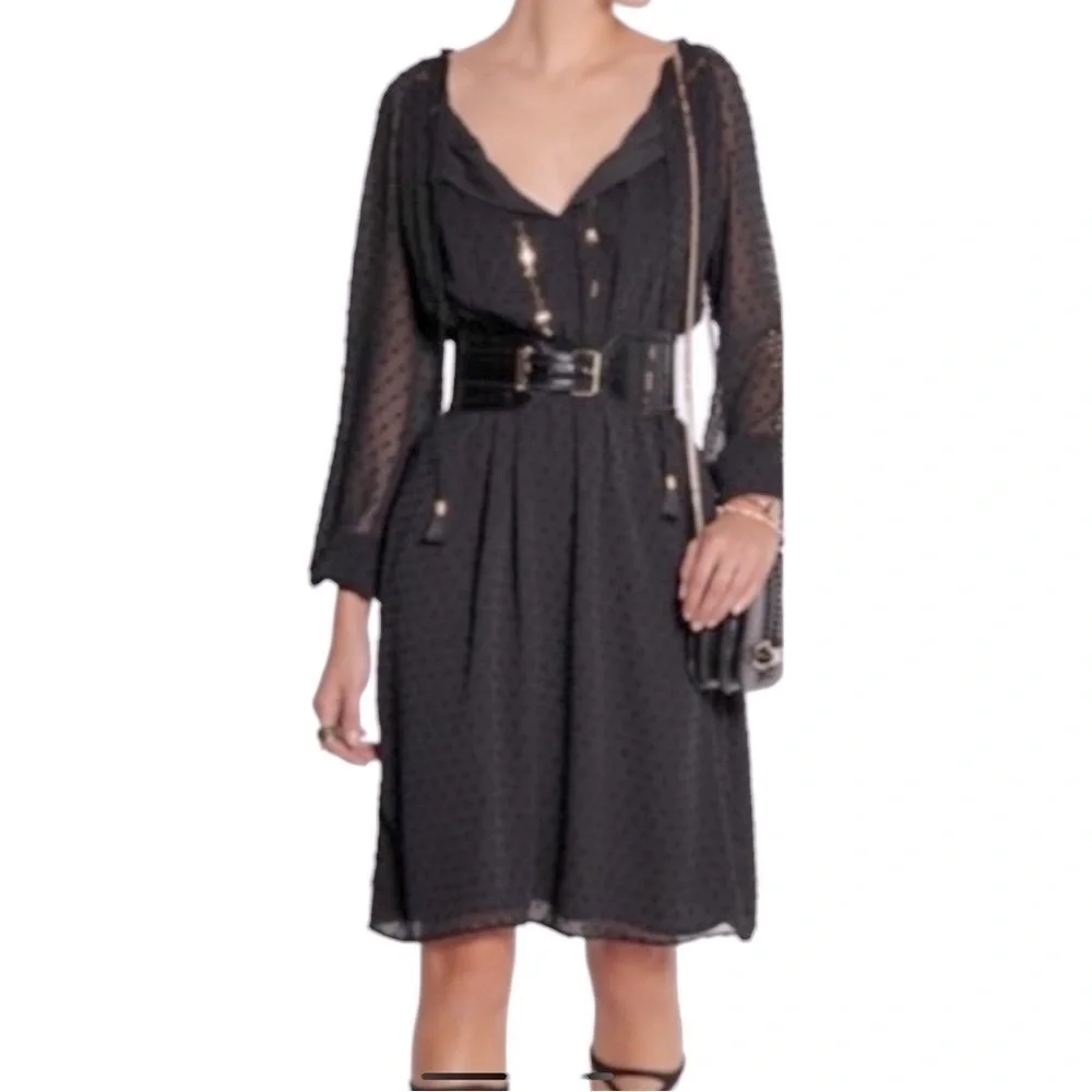 NWT Altuzarra Dress Black Swiss dot chiffon sequins long sleeves smocked Sz 4 - Picture 7 of 15